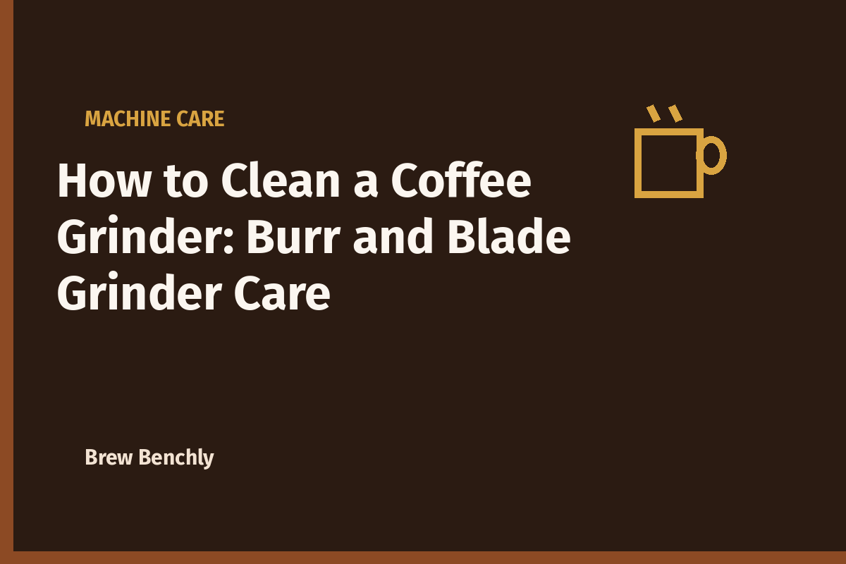 How to Clean a Coffee Grinder: Burr and Blade Grinder Care