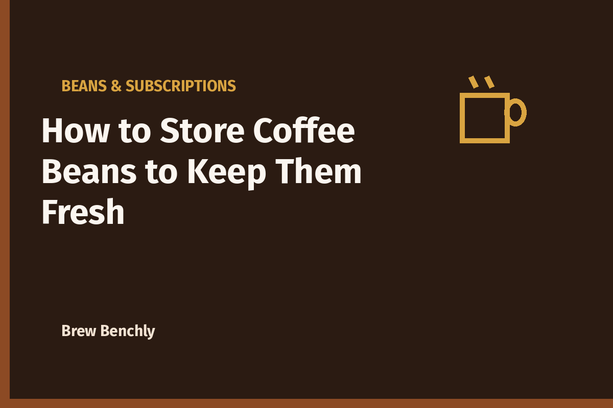 How to Store Coffee Beans to Keep Them Fresh